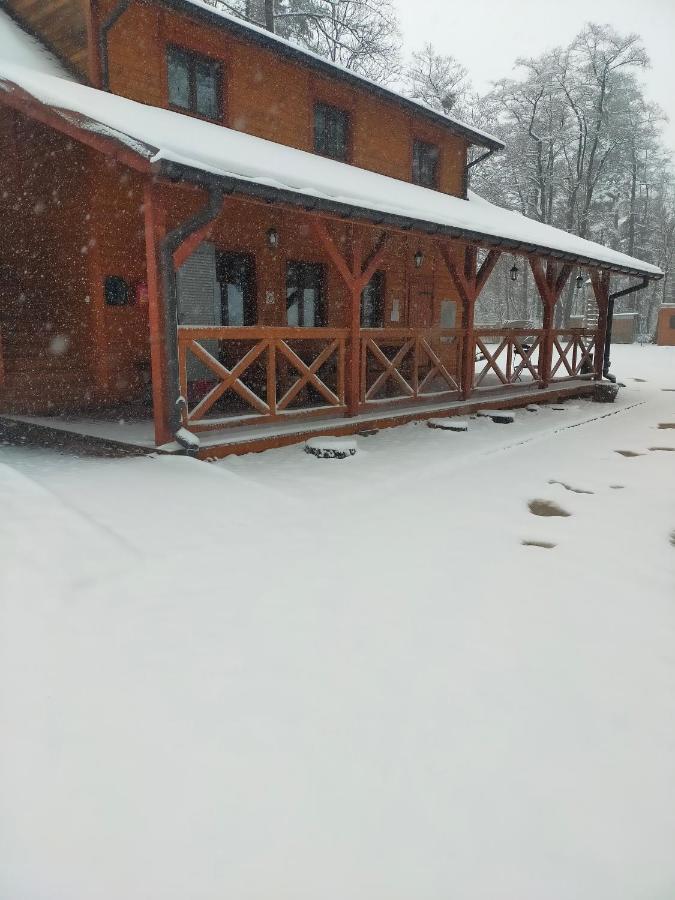 Przywisle Otel Ustron Dış mekan fotoğraf