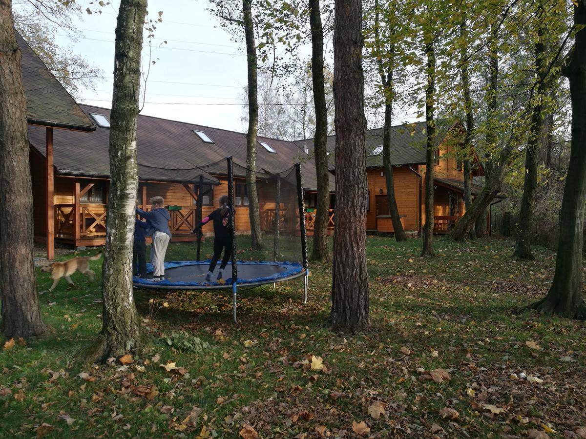 Przywisle Otel Ustron Dış mekan fotoğraf